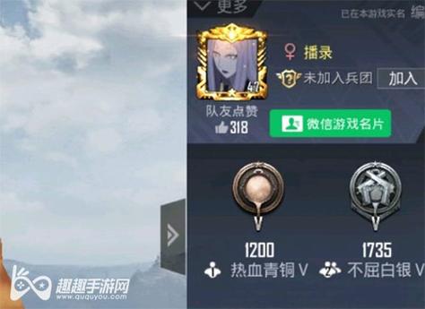 和平精英辅助【快影直装V3.0自瞄稳定版】锁头锁死自瞄 掩体变色 掩体漏打 人物透视 容器直装